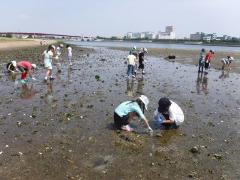 生き物観察