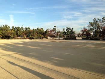 甲子園浜海浜公園多目的広場（東）