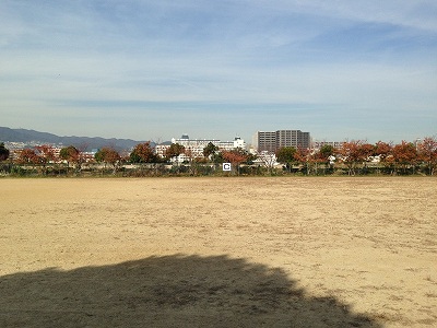 西宮浜総合公園北多目的広場C