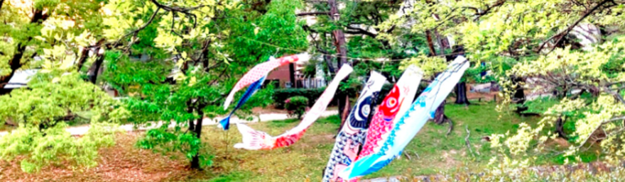 夙川のこいのぼり