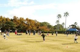 鳴尾浜臨海公園南地区芝生広場イベント