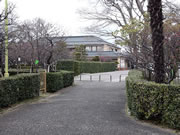 2014年2月13日の梅