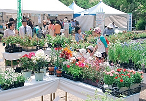 花と緑の市 花と緑の市