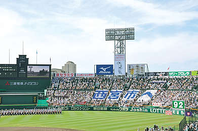 阪神甲子園球場 阪神甲子園球場