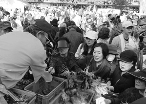 写真：農業祭