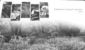 写真:オリジナルカレンダー 写真:オリジナルカレンダー