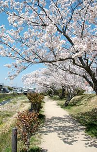 有馬川緑道 有馬川緑道