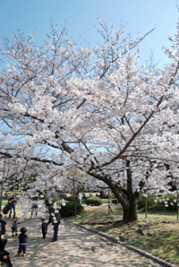 越水浄水場(満池谷) 越水浄水場(満池谷)
