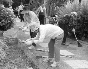 写真:わがまちクリーン大作戦 写真:わがまちクリーン大作戦