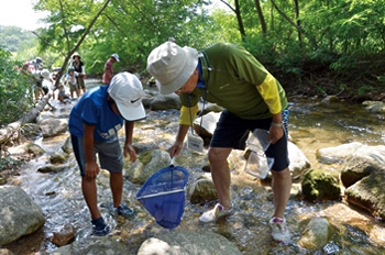 写真:夏の仁川で生きもの発見 写真:夏の仁川で生きもの発見