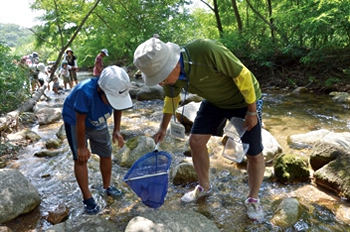 写真：夏の仁川で生きもの発見