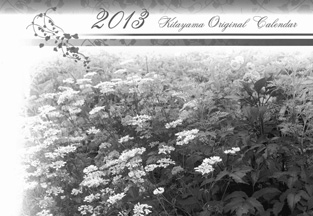 写真:北山緑化植物園・オリジナルカレンダー2013 写真:北山緑化植物園・オリジナルカレンダー2013