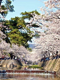 写真：夙川公園