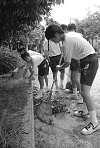 写真:わがまちクリーン大作戦 写真:わがまちクリーン大作戦