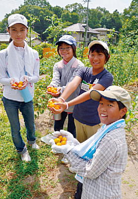 写真：野菜の収穫体験