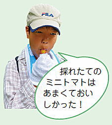 子ども広報員「採れたてのミニトマトはあまくておいしかった!」 子ども広報員「採れたてのミニトマトはあまくておいしかった!」