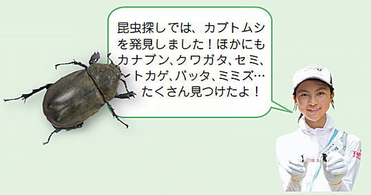 子ども広報員「昆虫探しでは、カブトムシを発見しました!ほかにもカナブン、クワガタ、セミ、 トカゲ、バッタ、ミミズ… たくさん見つけたよ!」 子ども広報員「昆虫探しでは、カブトムシを発見しました!ほかにもカナブン、クワガタ、セミ、 トカゲ、バッタ、ミミズ… たくさん見つけたよ!」