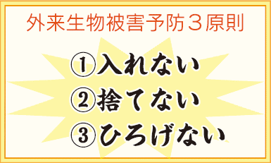 外来生物被害予防3原則 (1)入れない (2)捨てない (3)ひろげない 外来生物被害予防3原則 (1)入れない (2)捨てない (3)ひろげない
