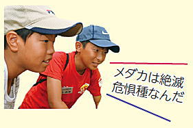 子ども広報員「メダカは絶滅危惧種なんだ」 子ども広報員「メダカは絶滅危惧種なんだ」