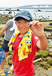 写真:干潟の生き物を見つける子ども広報員 写真:干潟の生き物を見つける子ども広報員