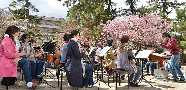 写真:桜の下の小さなコンサート 写真:桜の下の小さなコンサート