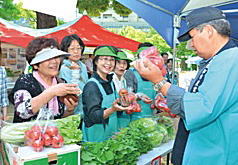 写真：地場野菜の即売会