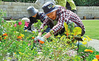 写真:花咲かせ隊 写真:花咲かせ隊