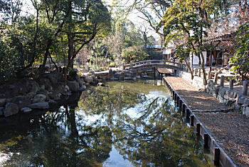 写真:西宮神社苑池 写真:西宮神社苑池