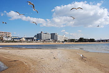 写真:御前浜 写真:御前浜