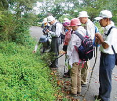 写真:西宮自然保護協会 写真:西宮自然保護協会