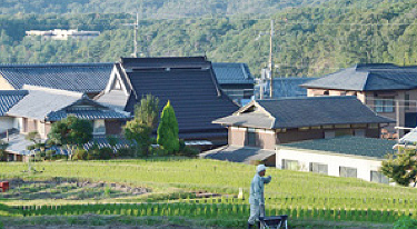 写真:船坂を散歩 写真:船坂を散歩