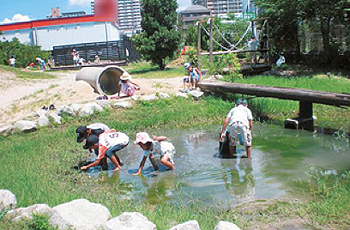 写真:みやっこキッズパーク 写真:みやっこキッズパーク