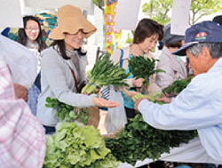 写真:地場野菜の即売会 写真:地場野菜の即売会
