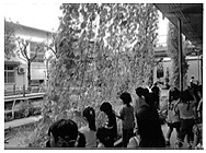 写真:昨年度の最優秀賞(学校部門) 写真:昨年度の最優秀賞(学校部門)