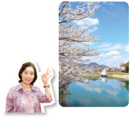 写真:桜とニテコ池・高須町 荒木さん 写真:桜とニテコ池・高須町 荒木さん