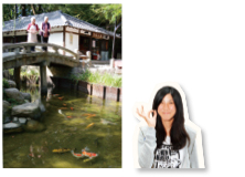 写真:西宮神社の鯉・高須町 KTさん 写真:西宮神社の鯉・高須町 KTさん