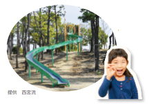 写真:提供 西宮流 甲子園浜海浜公園(今津浜地区)のローラーすべり台・今津真砂町 みゆちゃん 写真:提供 西宮流 甲子園浜海浜公園(今津浜地区)のローラーすべり台・今津真砂町 みゆちゃん