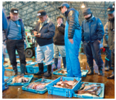写真:活気あふれる魚市場はなりわいの源泉 写真:活気あふれる魚市場はなりわいの源泉