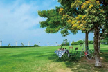 写真:鳴尾浜臨海公園 写真:鳴尾浜臨海公園