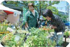 写真：花と緑の市