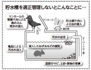 画像:貯水槽を適正管理しないとこんなことに… 画像:貯水槽を適正管理しないとこんなことに…