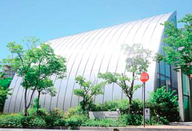 写真:西宮市貝類館 写真:西宮市貝類館