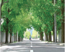 写真:Health & Sports Town 甲子園・鳴尾浜・西宮浜 写真:Health & Sports Town 甲子園・鳴尾浜・西宮浜