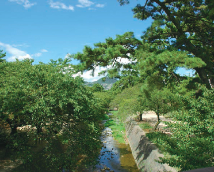 写真：夏の夙川公園