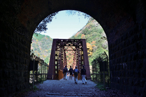 写真:JR福知山線廃線敷 写真:JR福知山線廃線敷