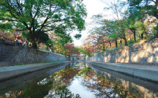 写真:オアシスロード(夙川) 写真:オアシスロード(夙川)