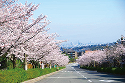 写真:東山台 写真:東山台