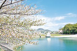 写真:満池谷・ニテコ池 写真:満池谷・ニテコ池
