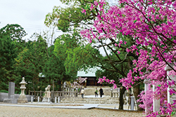 写真：廣田神社