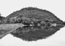 写真:昨年の入賞作品 写真:昨年の入賞作品